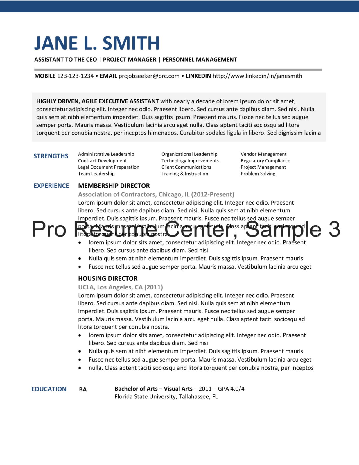 Resume Format Sample 3