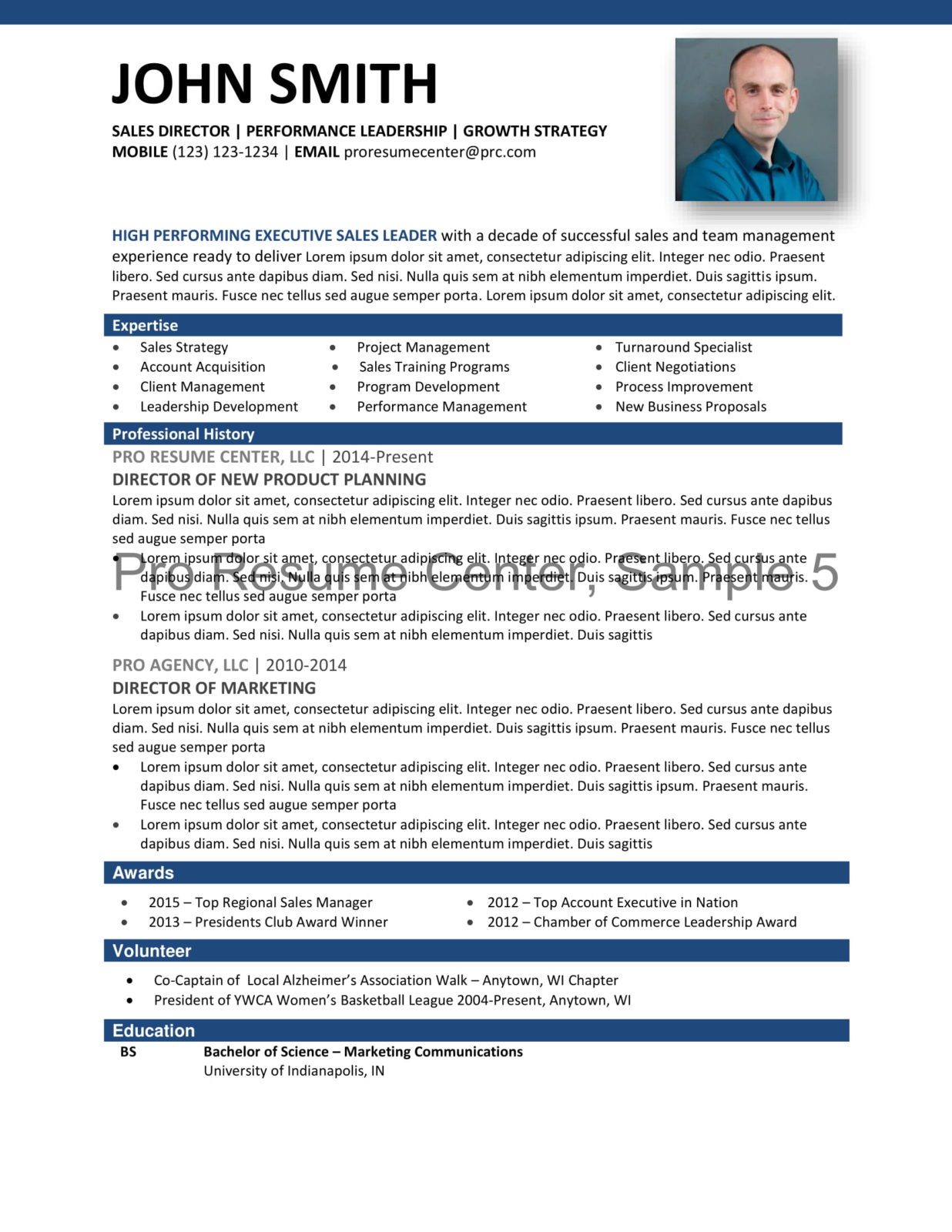 Resume Format Sample 5