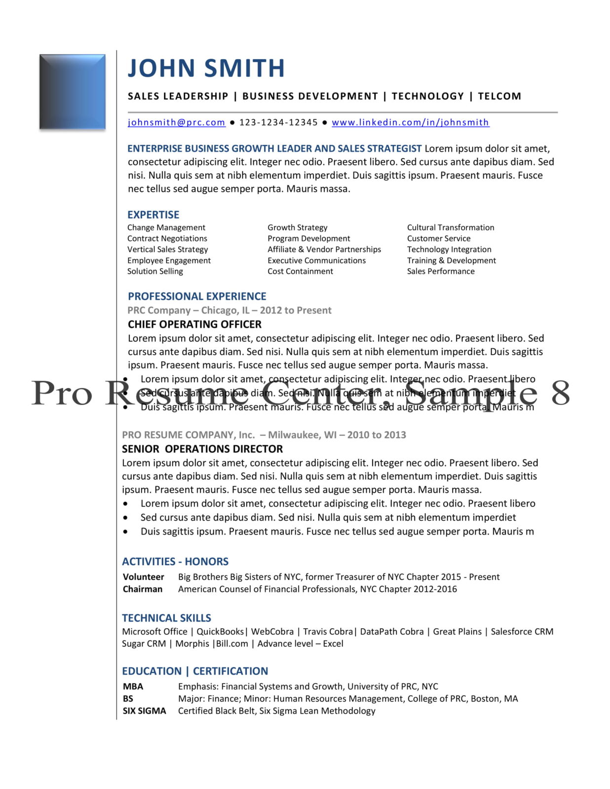 Resume Format Sample 8
