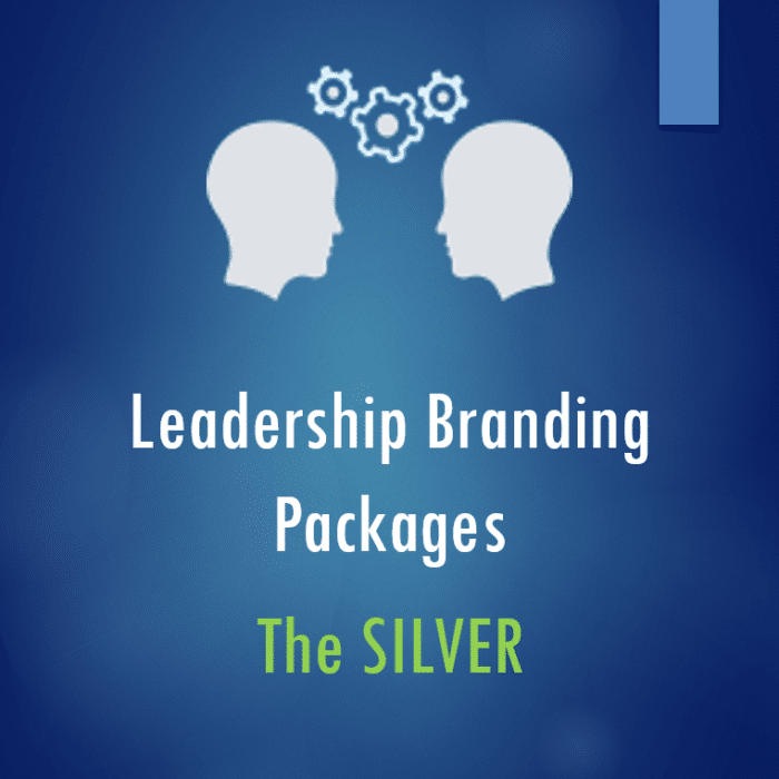 Leadership Branding Package The SILVER 700x700